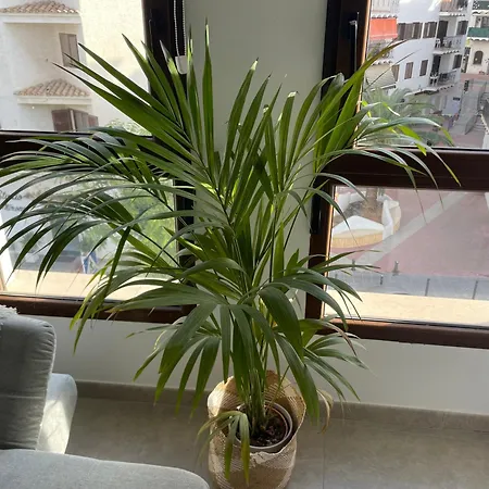 La Sabina Apartment